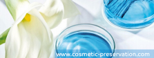 www.cosmetic-preservation.com